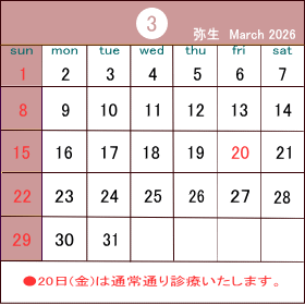 �J�����_�[